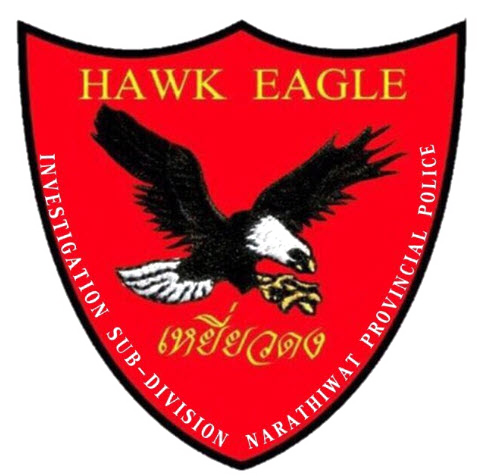 HAWK EAGLE logo